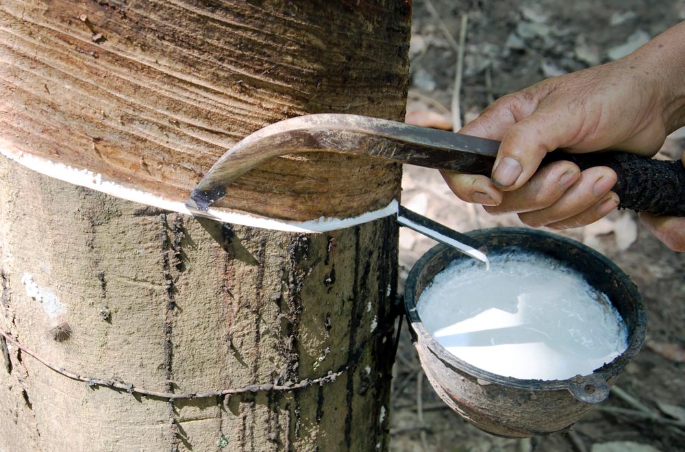 What Is Natural Rubber Latex All You Want To Know